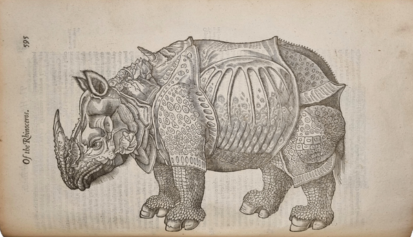 Animals & Agriculture