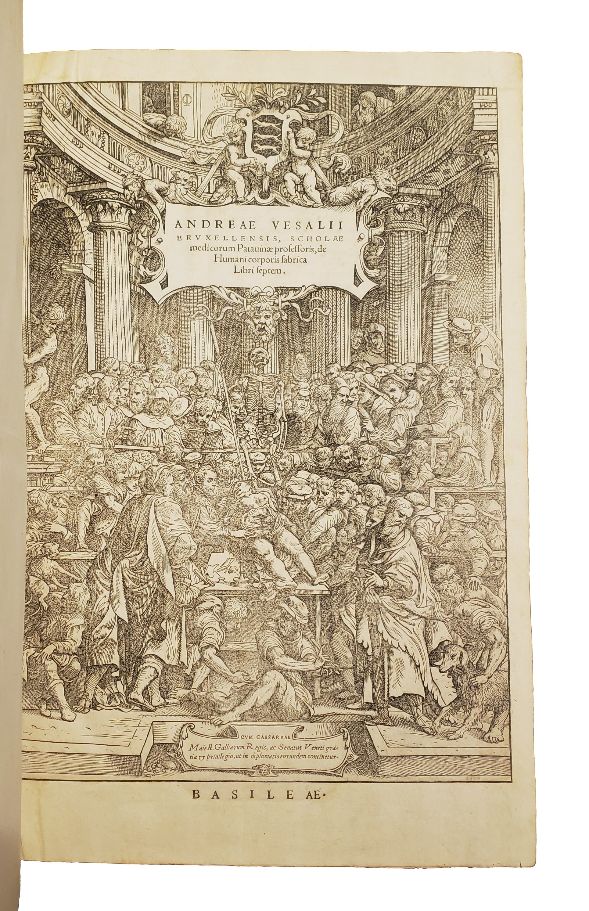 VESALIUS, Andreas.