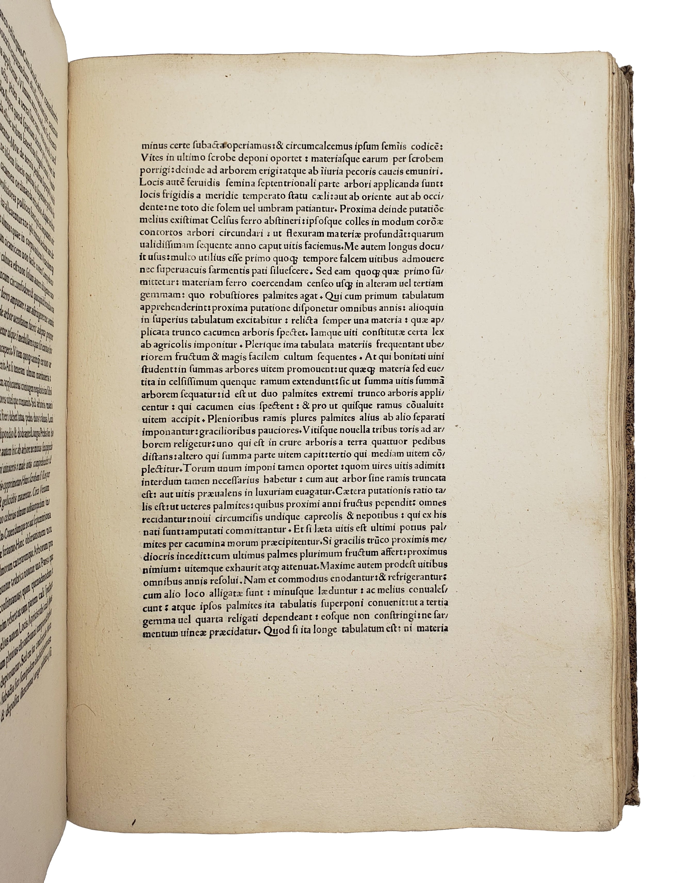 CATO, Marcus Porcius, VARRO, Marcus Terentius, COLUMELLA, Junius Moderatus, PALLADIUS, Rutilius Taurus