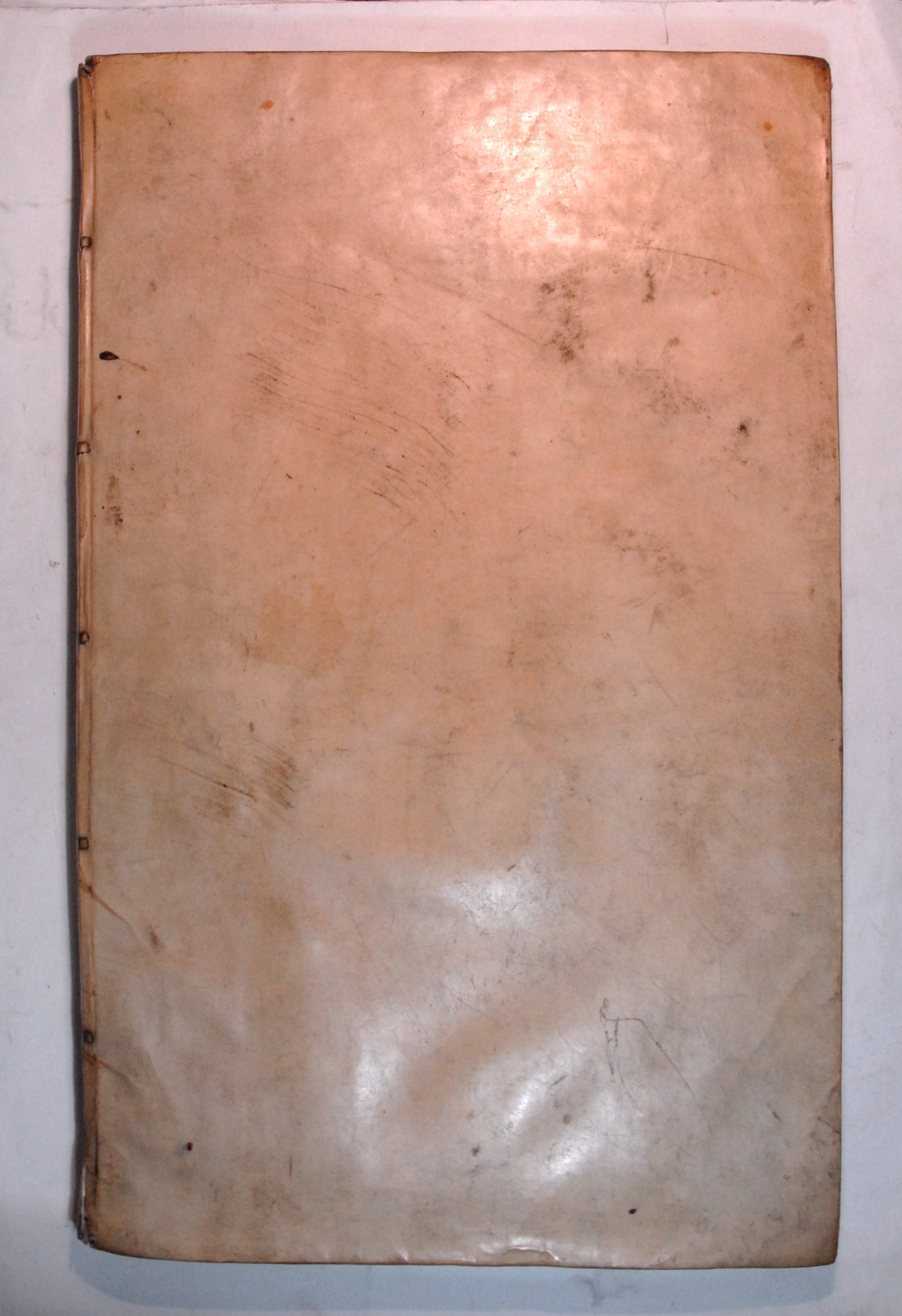 NOLPE, Pieter