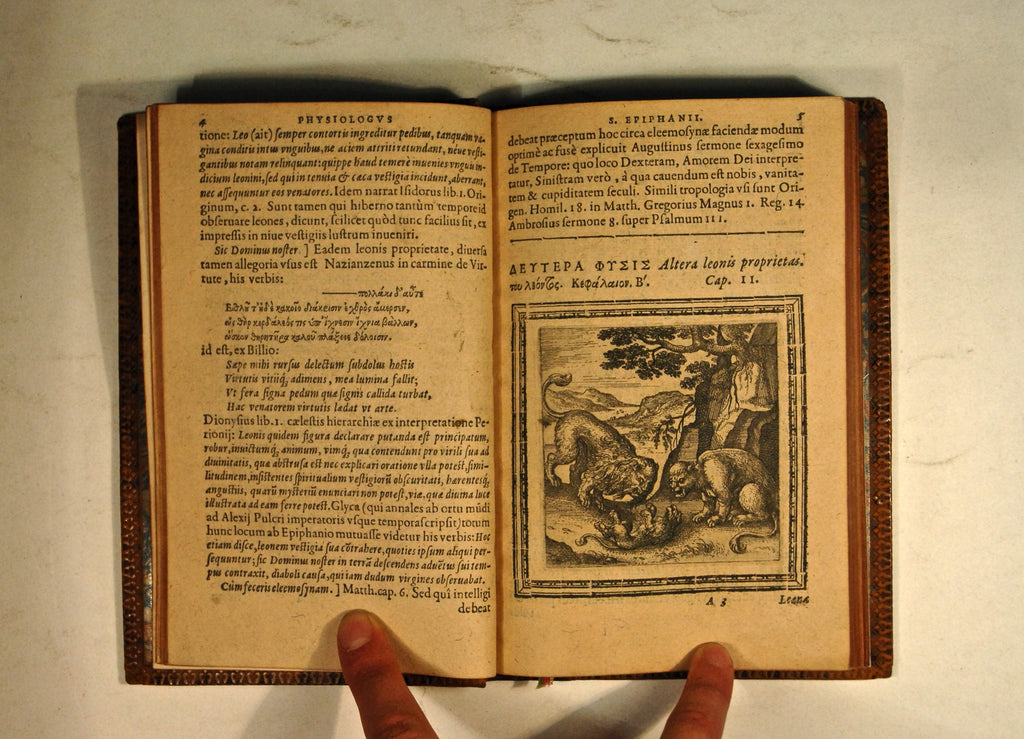 EPIPHANIUS of Constantia, SAINT