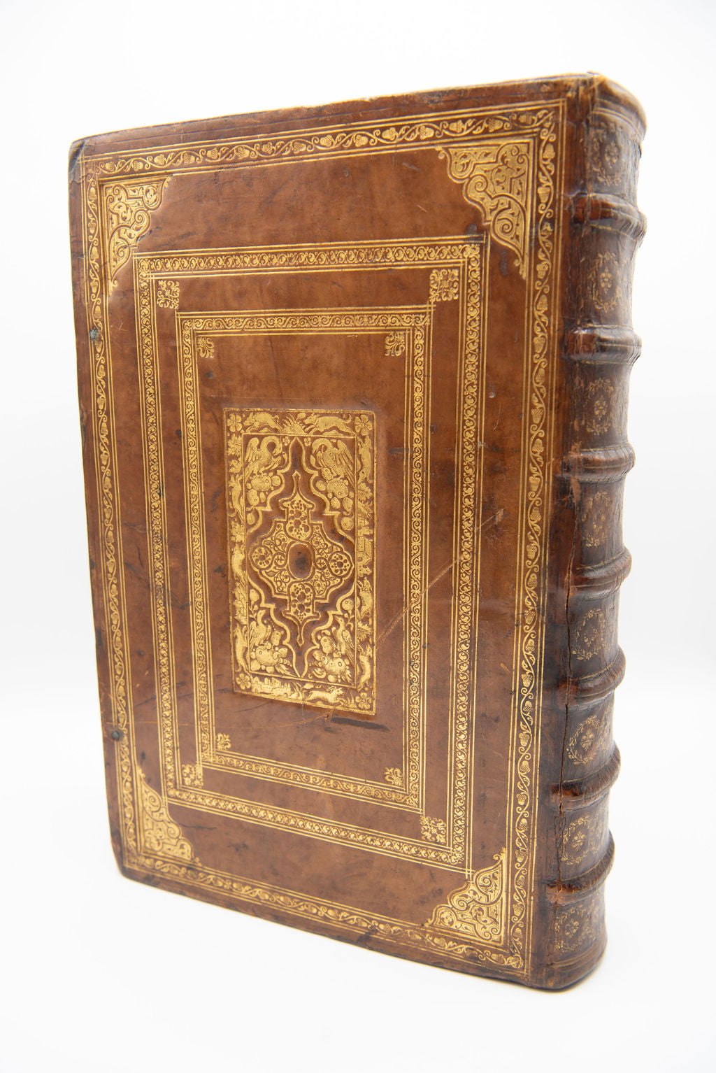 [BIBLE] Biblia Latinogallica