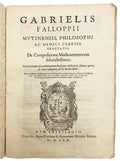 FALLOPIO, Gabriele