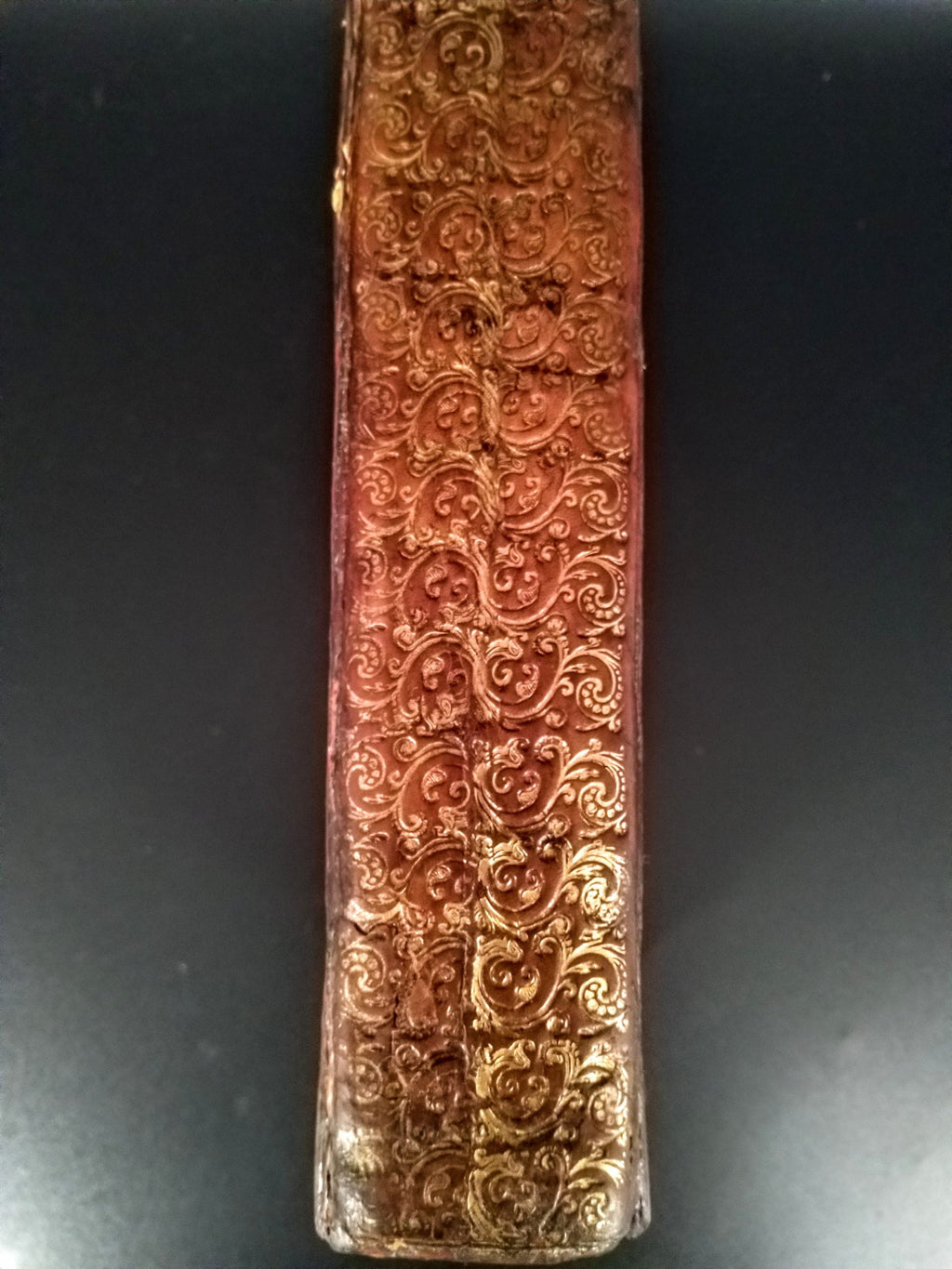 [BOOK OF COMMON PRAYER]