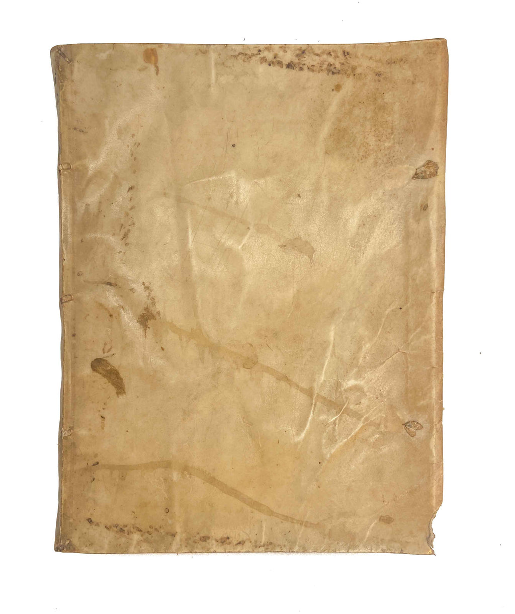 ALPINO, Prospero