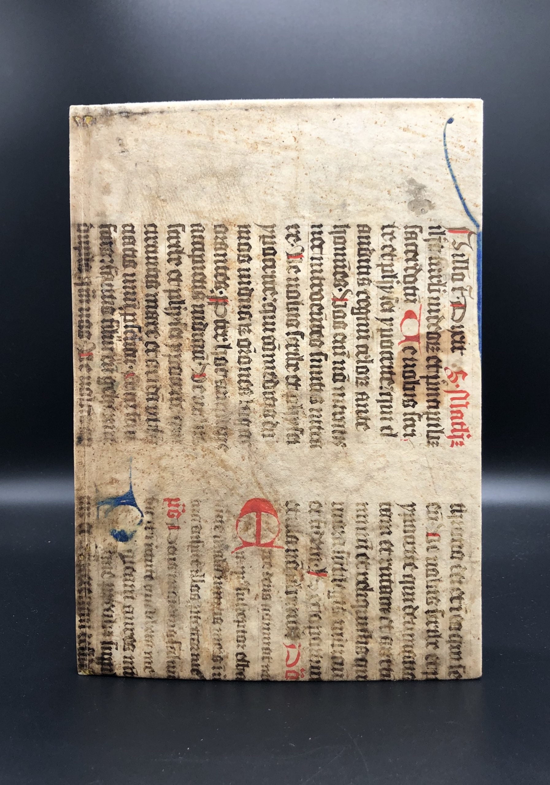 ALBERTUS MAGNUS