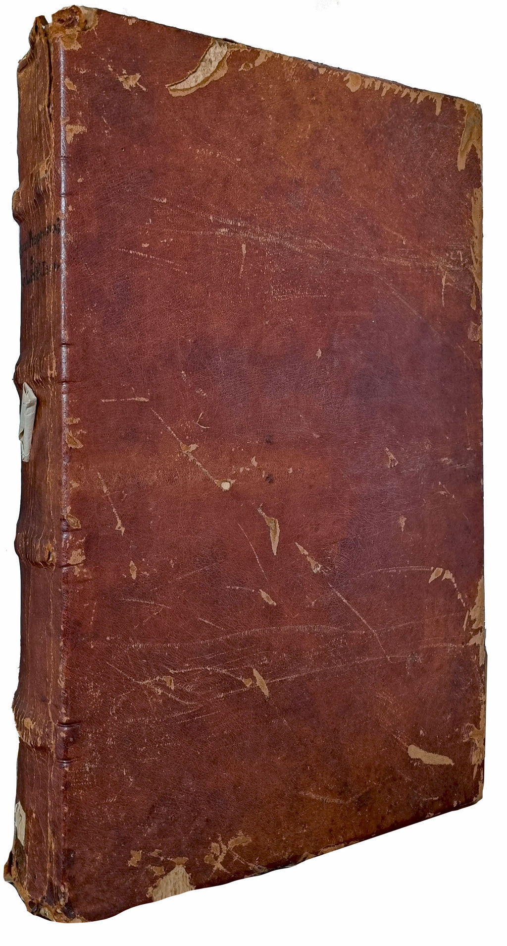 BIBLE, Cistercian
