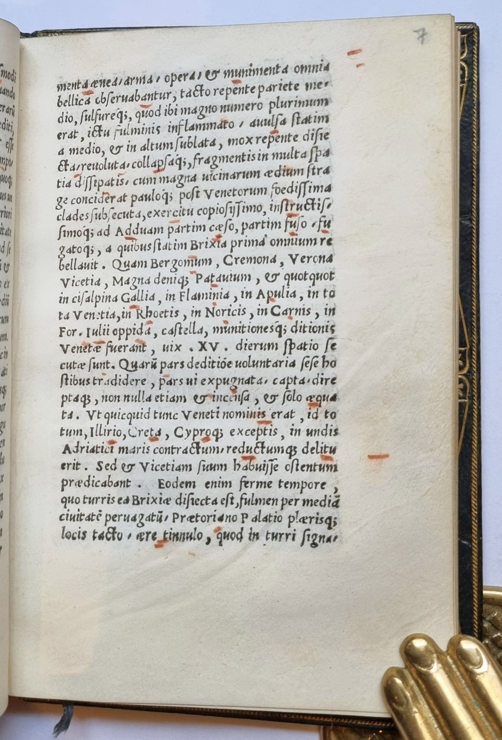 VALERIANUS, Joannes Pierius