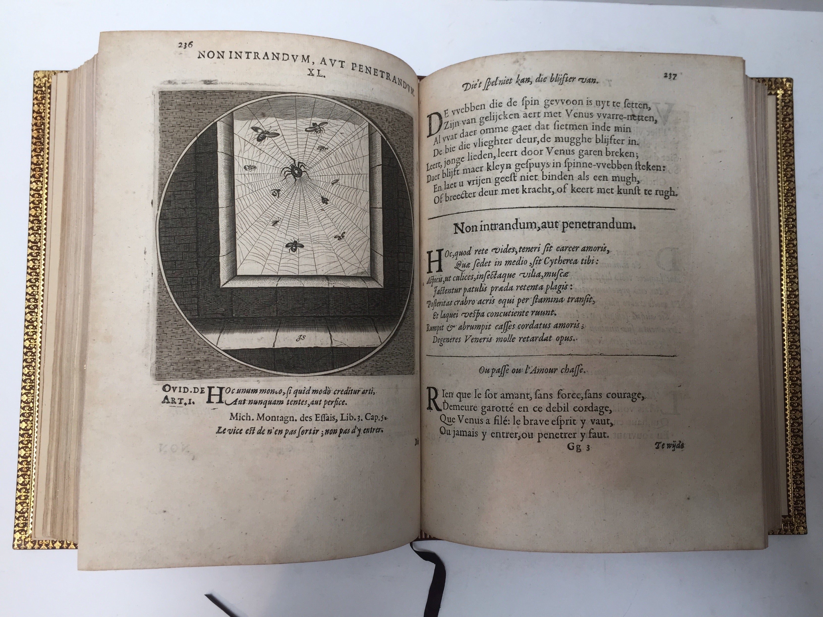CATS, Jacob