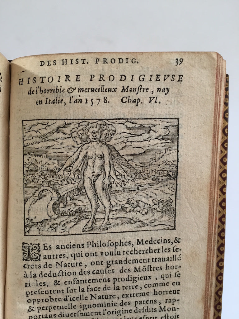 BOAISTUAU, Pierre and BELLEFOREST, Francois de, etc.