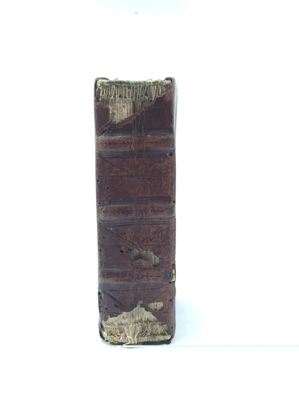 LACTANTIUS  [with] TERTULLIAN