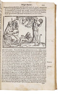 CARTARI, Vincenzo.