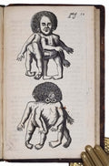 BLASIUS, Gerardus.