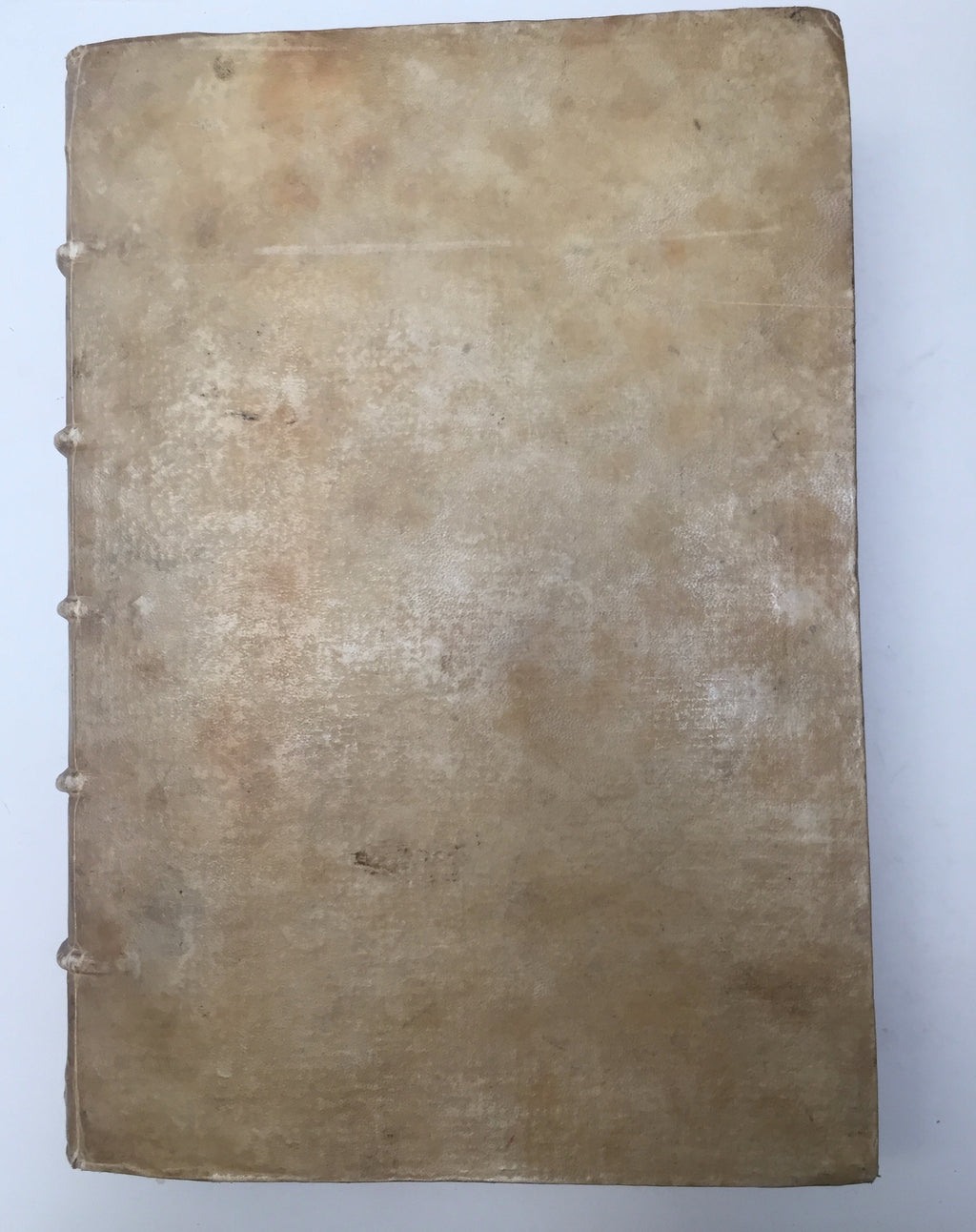 CAMPANUS, Johannes Antonius