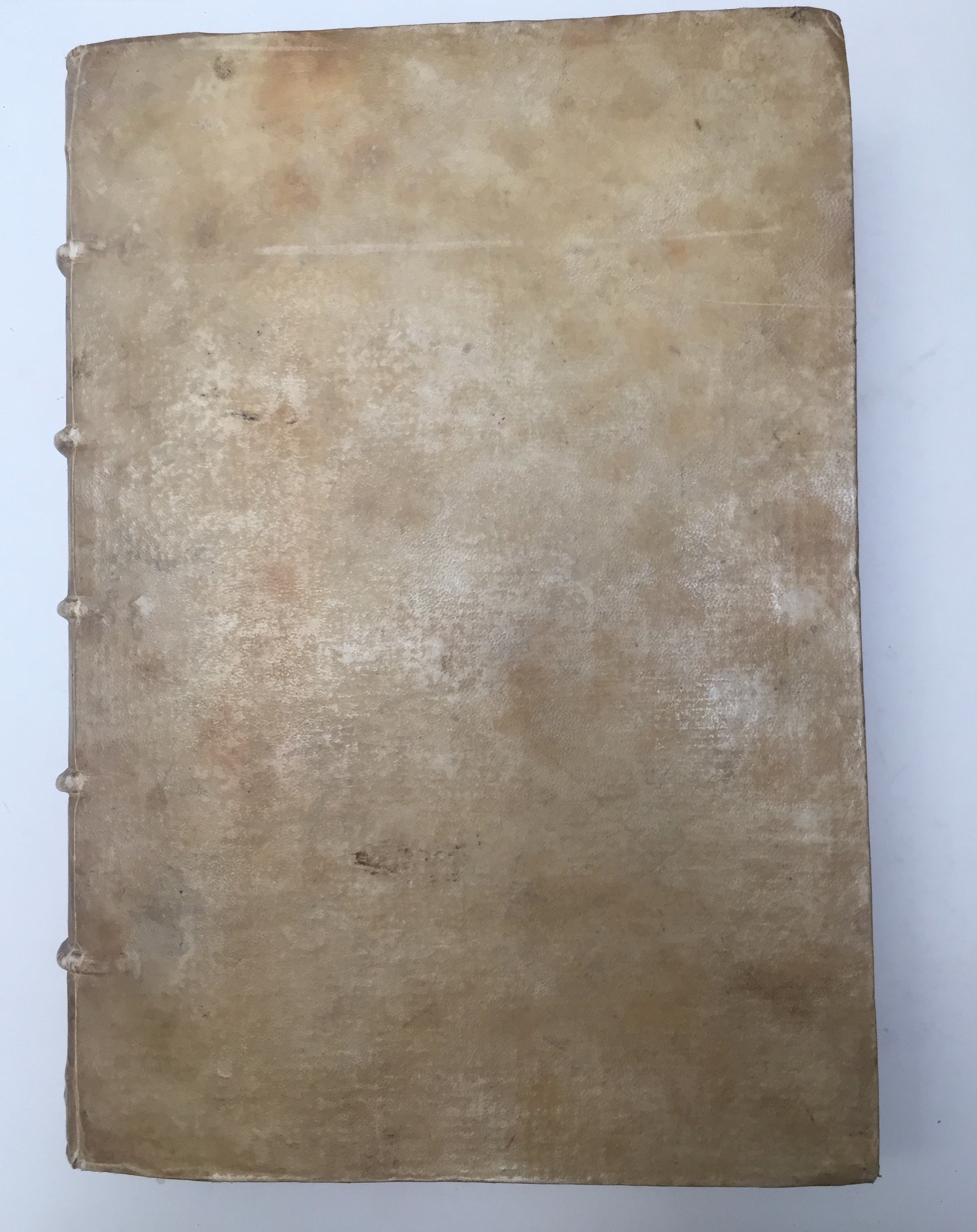 CAMPANUS, Johannes Antonius