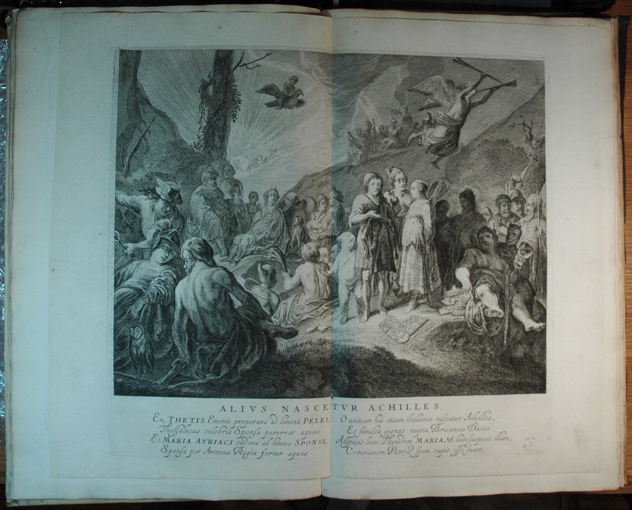 NOLPE, Pieter