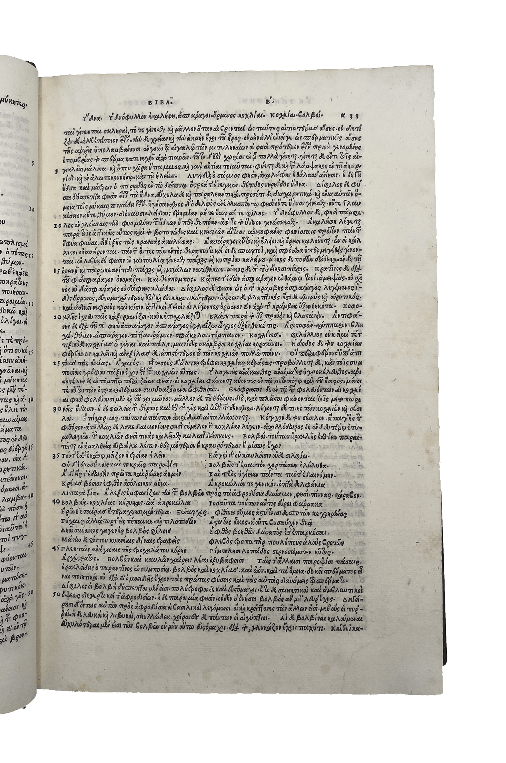 ATHENAEUS